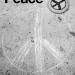 Peace book cover