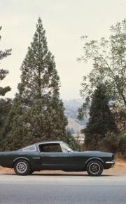 Mustang